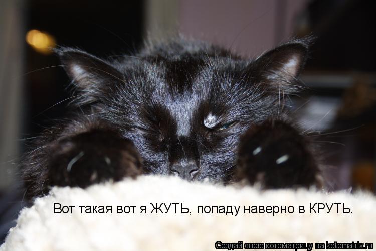 Вот такая вот я ЖУТЬ, попаду наверно в КРУТЬ.... Котоматрица: Вот такая вот я ЖУТЬ, попаду наверно в КРУТЬ.