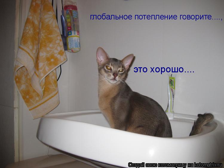 глобальное потепление говорите...., это хорошо....... Котоматрица: глобальное потепление говорите...., это хорошо....
