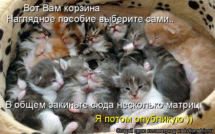 Котоматрица: Вот Вам корзина Наглядное пособие выберите сами.. В общем закиньте сюда несколько матриц Я потом опубликую ))