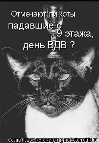 Отмечают ли коты падавшие с день ВДВ ? 9 этажа,... Котоматрица: Отмечают ли коты падавшие с день ВДВ ? 9 этажа,