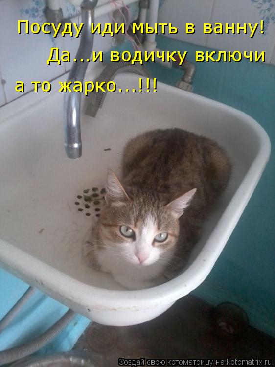 Посуду иди мыть в ванну! Да...и водичку включи а то жарко...!!!... Котоматрица: Посуду иди мыть в ванну! Да...и водичку включи а то жарко...!!!