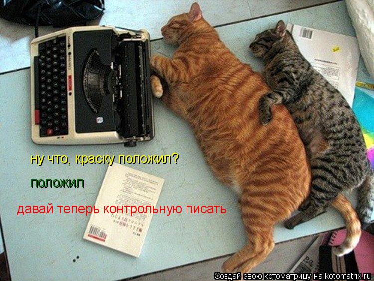 ну что, краску положил? положил давай теперь контрольную писать... Котоматрица: ну что, краску положил? положил давай теперь контрольную писать