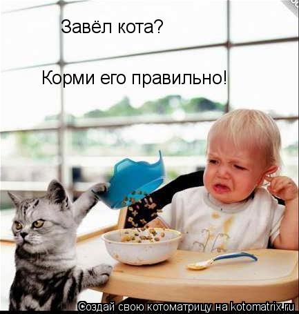 Завёл кота? Корми его правильно!... Котоматрица: Завёл кота? Корми его правильно!