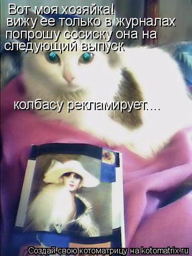 Вот моя хозяйка! вижу ее только в журналах попрошу сосиску она на следующий выпуск колбасу рекламируе... Котоматрица: Вот моя хозяйка! вижу ее только в журналах попрошу сосиску она на следующий выпуск колбасу рекламирует....