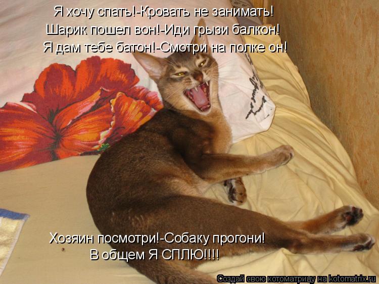 Я хочу спать!-Кровать не занимать! Шарик пошел вон!-Иди грызи балкон! Я дам тебе батон!-Смотри на пол... Котоматрица: Я хочу спать!-Кровать не занимать! Шарик пошел вон!-Иди грызи балкон! Я дам тебе батон!-Смотри на полке он! Хозяин посмотри!-Собаку прогони! В