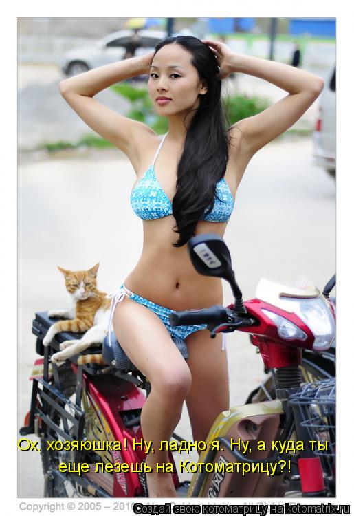 Котоматрица: Ох, хозяюшка! Ну, ладно я. Ну, а куда ты еще лезешь на Котоматрицу?!