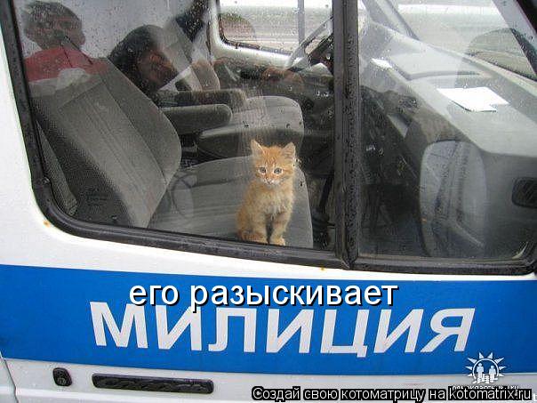 его разыскивает... Котоматрица: его разыскивает