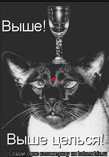 . Выше! Выше целься!... Котоматрица: . Выше! Выше целься!