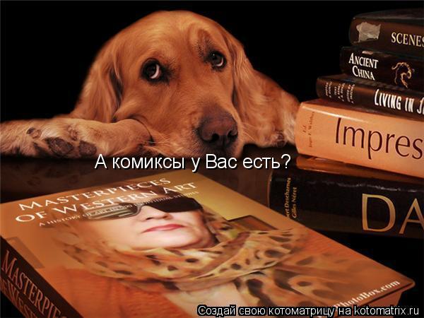 Котоматрица: А комиксы у Вас есть?