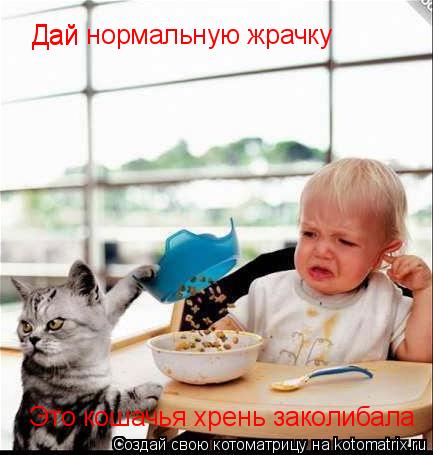Дай Дай нормальную жрачку Это кошачья хрень заколибала... Котоматрица: Дай Дай нормальную жрачку Это кошачья хрень заколибала