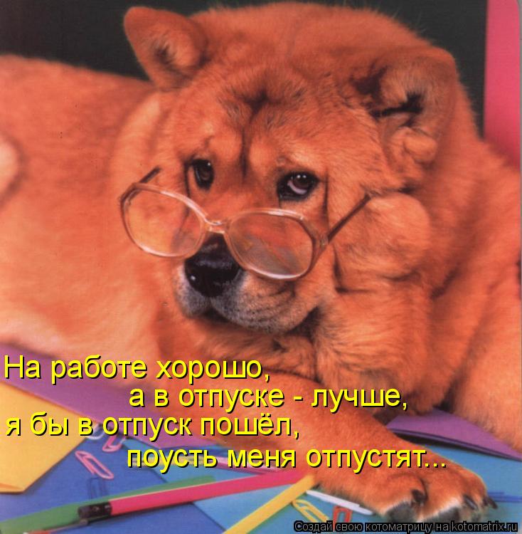 На работе хорошо, а в отпуске - лучше, я бы в отпуск пошёл, поусть меня отпустят...... Котоматрица: На работе хорошо, а в отпуске - лучше, я бы в отпуск пошёл, поусть меня отпустят...