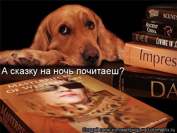 А сказку на ночь почитаеш?... Котоматрица: А сказку на ночь почитаеш?