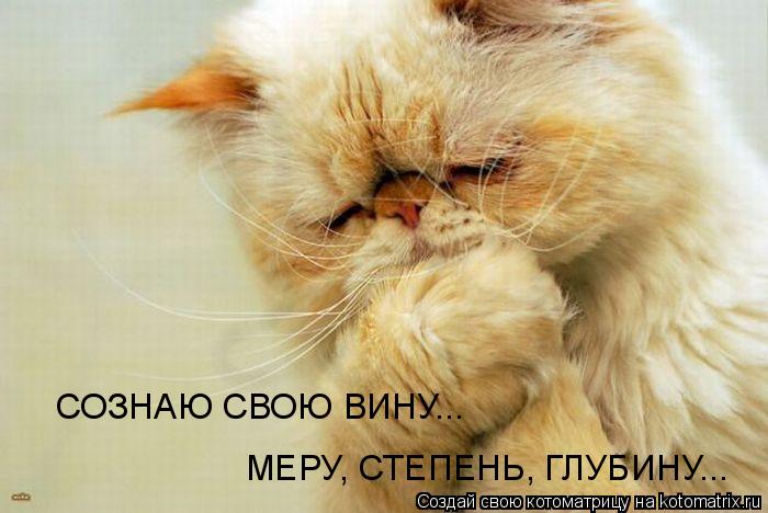 СОЗНАЮ СВОЮ ВИНУ... МЕРУ, СТЕПЕНЬ, ГЛУБИНУ...... Котоматрица: СОЗНАЮ СВОЮ ВИНУ... МЕРУ, СТЕПЕНЬ, ГЛУБИНУ...