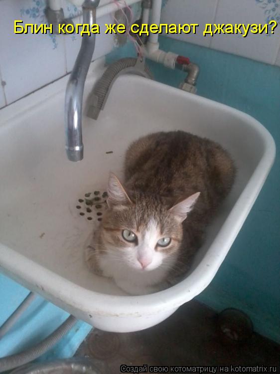 Блин когда же сделают джакузи?... Котоматрица: Блин когда же сделают джакузи?