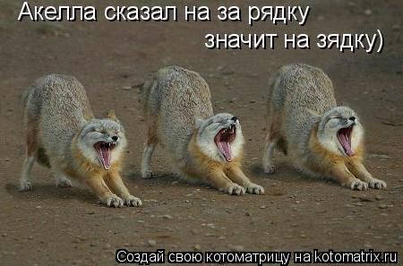 Акелла сказал на за рядку значит на зядку)... Котоматрица: Акелла сказал на за рядку значит на зядку)