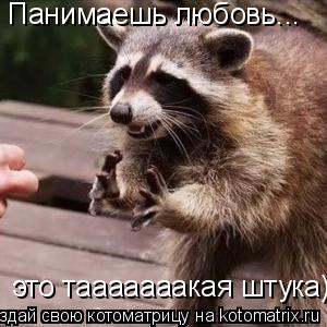 Панимаешь любовь... это тааааааакая штука)... Котоматрица: Панимаешь любовь... это тааааааакая штука)