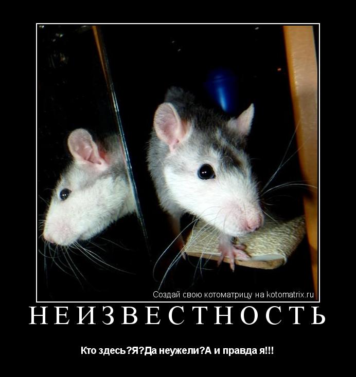 неизвестность Кто здесь?Я?Да неужели?А и правда я!!!... Котоматрица: неизвестность Кто здесь?Я?Да неужели?А и правда я!!!