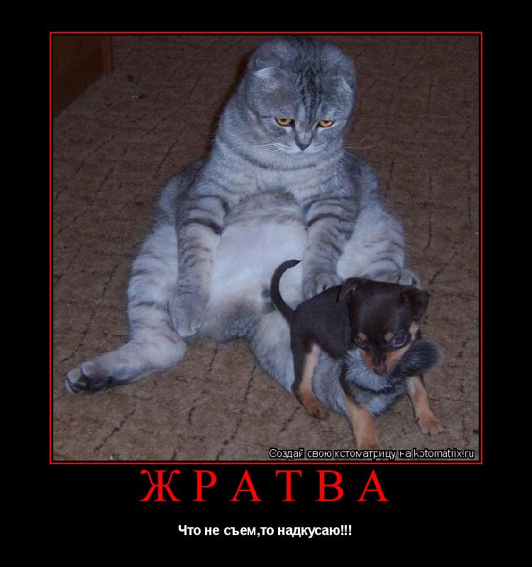 ЖРАТВА Что не съем,то надкусаю!!!... Котоматрица: ЖРАТВА Что не съем,то надкусаю!!!