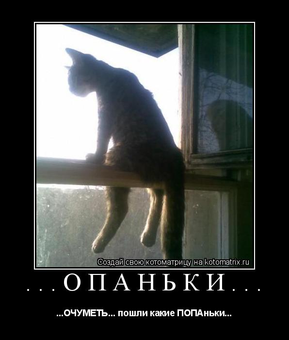 ...ОПАНЬКИ... ...ОЧУМЕТЬ... пошли какие ПОПАньки...... Котоматрица: ...ОПАНЬКИ... ...ОЧУМЕТЬ... пошли какие ПОПАньки...