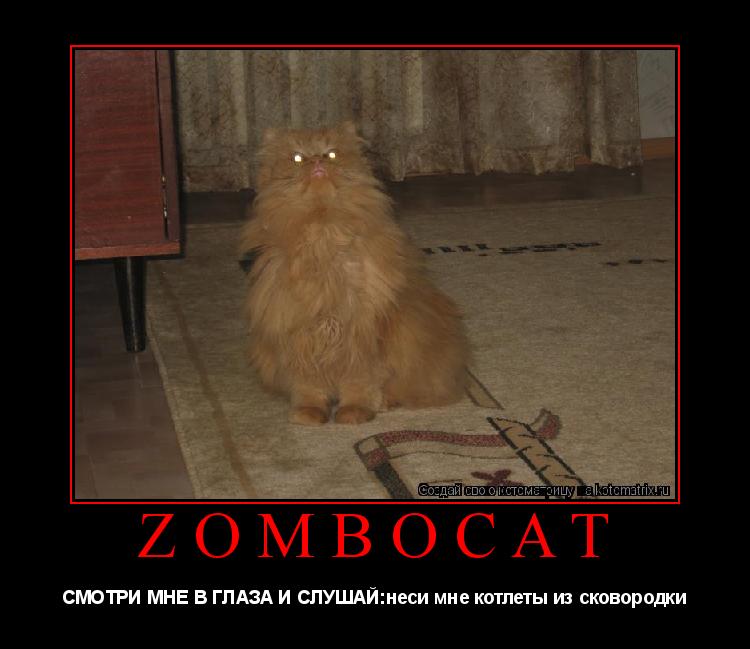 ZOMBOCAT СМОТРИ МНЕ В ГЛАЗА И СЛУШАЙ:неси мне котлеты из сковородки... Котоматрица: ZOMBOCAT СМОТРИ МНЕ В ГЛАЗА И СЛУШАЙ:неси мне котлеты из сковородки