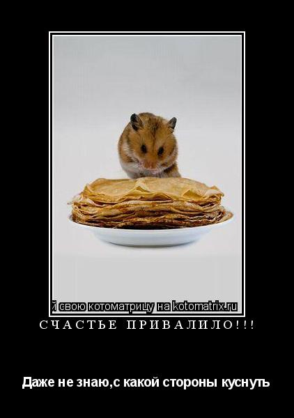 Счастье привалило!!! Даже не знаю,с какой стороны куснуть... Котоматрица: Счастье привалило!!! Даже не знаю,с какой стороны куснуть