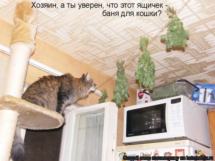 Хозяин, а ты уверен, что этот ящичек - баня для кошки?... Котоматрица: Хозяин, а ты уверен, что этот ящичек - баня для кошки?