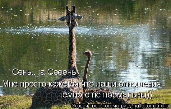 Мне просто кажется что наши отношения немного не нормальны)) Сень... а Сееень... Котоматрица: Мне просто кажется что наши отношения немного не нормальны)) Сень... а Сееень