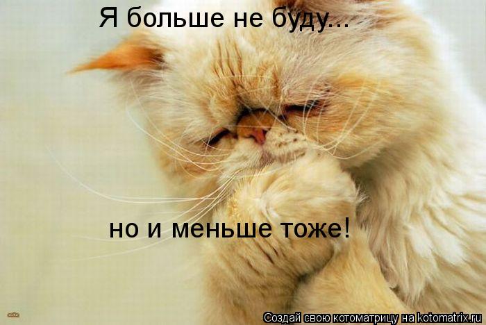 Я больше не буду... но и меньше тоже!... Котоматрица: Я больше не буду... но и меньше тоже!