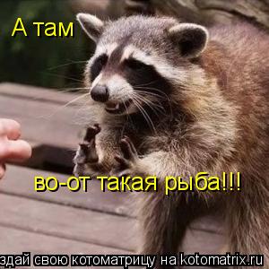 во-от такая рыба!!! А там... Котоматрица: во-от такая рыба!!! А там
