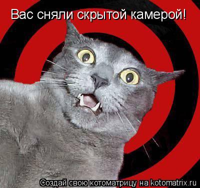 Вас сняли скрытой камерой!... Котоматрица: Вас сняли скрытой камерой!