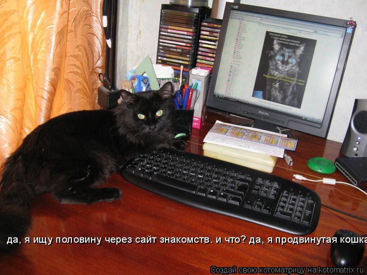 да, я ищу половину через сайт знакомств. и что? да, я продвинутая кошка... Котоматрица: да, я ищу половину через сайт знакомств. и что? да, я продвинутая кошка