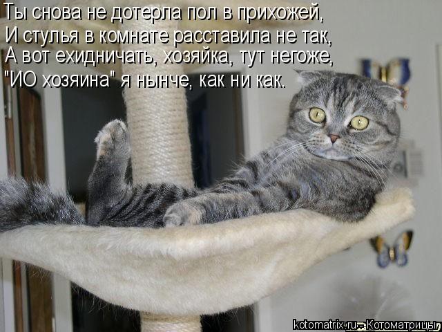 Котоматрица: Ты снова не дотерла пол в прихожей, И стулья в комнате расставила не так, А вот ехидничать, хозяйка, тут негоже,  "ИО хозяина" я нынче, как ни ка