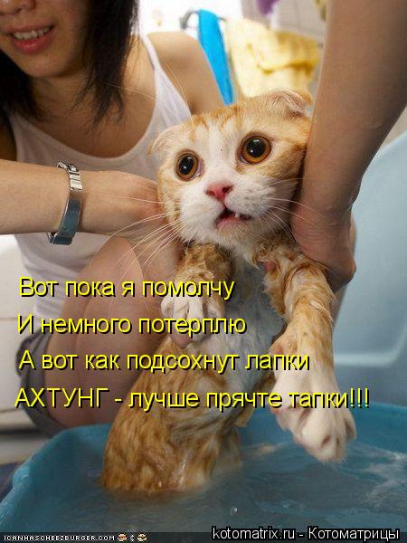 Вот пока я помолчу И немного потерплю А вот как подсохнут лапки АХТУНГ - лучше прячте тапки!!!... Котоматрица: Вот пока я помолчу И немного потерплю А вот как подсохнут лапки АХТУНГ - лучше прячте тапки!!!