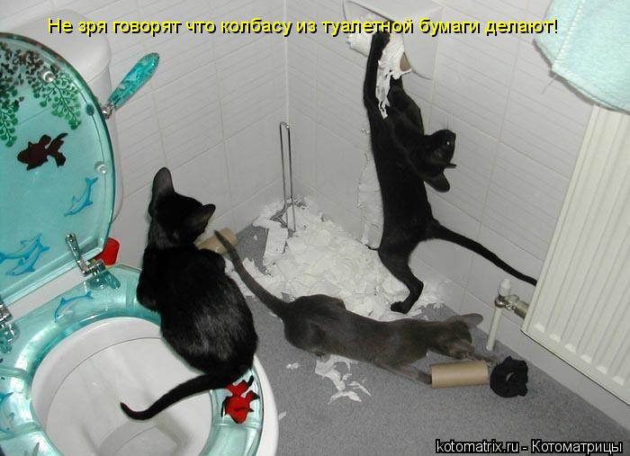 Не зря говорят что колбасу из туалетной бумаги делают!... Котоматрица: Не зря говорят что колбасу из туалетной бумаги делают!