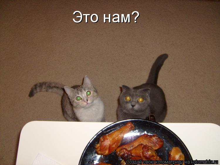 Это нам?... Котоматрица: Это нам?