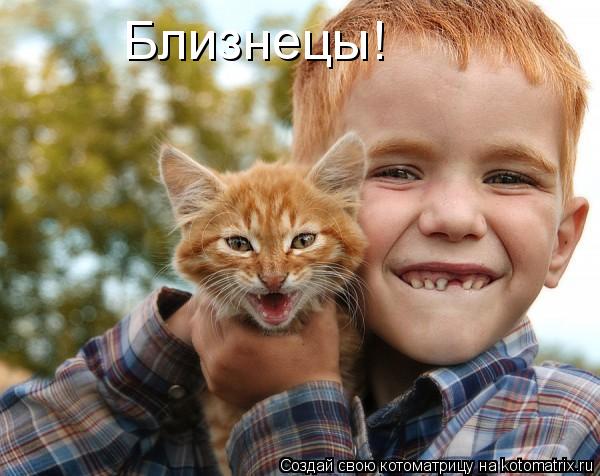 Близнецы!... Котоматрица: Близнецы!
