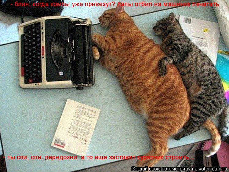 - блин, когда компы уже привезут? лапы отбил на машинке печатать - ты спи, спи. передохни. а то еще з... Котоматрица: - блин, когда компы уже привезут? лапы отбил на машинке печатать - ты спи, спи. передохни. а то еще заставят курятник строить...