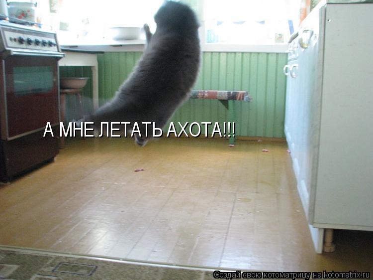 А МНЕ ЛЕТАТЬ АХОТА!!!... Котоматрица: А МНЕ ЛЕТАТЬ АХОТА!!!