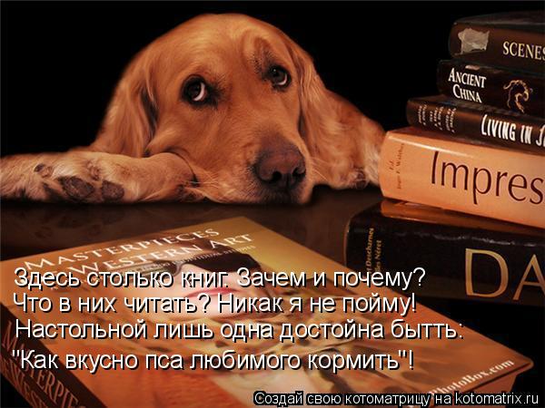 Котоматрица: Здесь столько книг. Зачем и почему? Что в них читать? Никак я не пойму! Настольной лишь одна достойна бытть: "Как вкусно пса любимого кормить"!