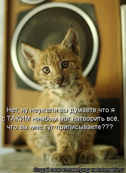 Нет, ну неужели вы думаете,что я с ТАКИМ нимбом мог натворить всё, что вы мне тут приписываете???... Котоматрица: Нет, ну неужели вы думаете,что я с ТАКИМ нимбом мог натворить всё, что вы мне тут приписываете???