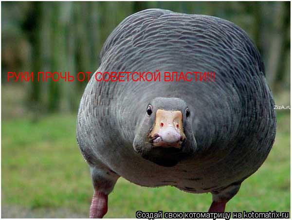 РУКИ ПРОЧЬ ОТ СОВЕТСКОЙ ВЛАСТИ!!!... Котоматрица: РУКИ ПРОЧЬ ОТ СОВЕТСКОЙ ВЛАСТИ!!!