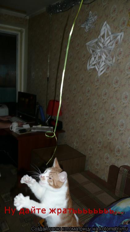 Ну дайте жратьььььььь...... Котоматрица: Ну дайте жратьььььььь...