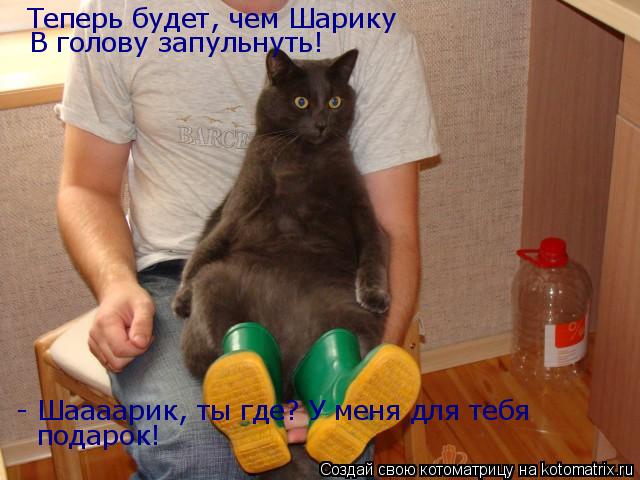 Теперь будет, чем Шарику В голову запульнуть! - Шаааарик, ты где? У меня для тебя подарок!... Котоматрица: Теперь будет, чем Шарику В голову запульнуть! - Шаааарик, ты где? У меня для тебя подарок!