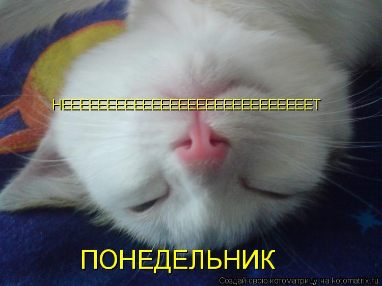 ПОНЕДЕЛЬНИК ПОНЕДЕЛЬНИК НЕЕЕЕЕЕЕЕЕЕЕЕЕЕЕЕЕЕЕЕЕЕЕЕЕЕЕЕТ... Котоматрица: ПОНЕДЕЛЬНИК ПОНЕДЕЛЬНИК НЕЕЕЕЕЕЕЕЕЕЕЕЕЕЕЕЕЕЕЕЕЕЕЕЕЕЕЕТ