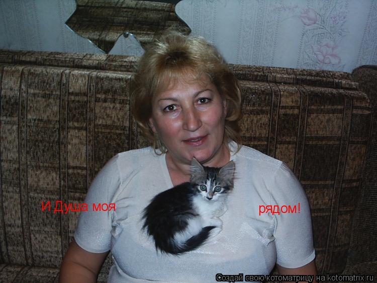 И Душа моя рядом!... Котоматрица: И Душа моя рядом!
