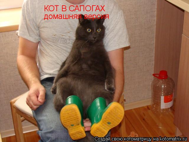 КОТ В САПОГАХ домашняя версия... Котоматрица: КОТ В САПОГАХ домашняя версия