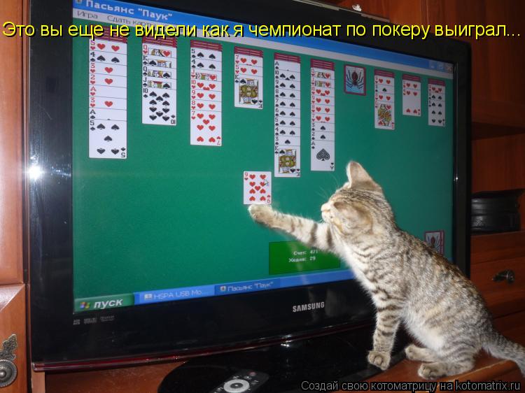 Это вы еще не видели как я чемпионат по покеру выиграл...... Котоматрица: Это вы еще не видели как я чемпионат по покеру выиграл...