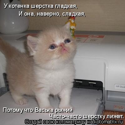 У котенка шерстка гладкая, И она, наверно, сладкая, Потому что Васька рыжий Часто-часто шерстку лижет... Котоматрица: У котенка шерстка гладкая, И она, наверно, сладкая, Потому что Васька рыжий Часто-часто шерстку лижет.