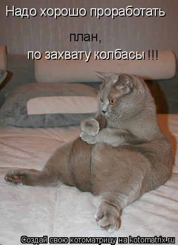 Надо хорошо проработать план , по захвату колбасы !!!... Котоматрица: Надо хорошо проработать план , по захвату колбасы !!!