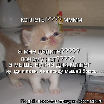 котлеты???? мммм а мне дадите????? почему нет????? а мышь нужна для котлет ну иди и лови. я не пойду... Котоматрица: котлеты???? мммм а мне дадите????? почему нет????? а мышь нужна для котлет ну иди и лови. я не пойду, мышей боюсь